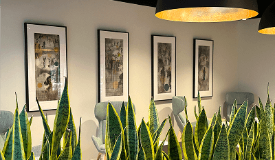 A cozy room featuring various plants and chairs arranged in front of a decorated wall.